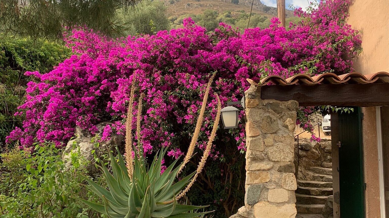 Photo of Outdoor in Montegrosso