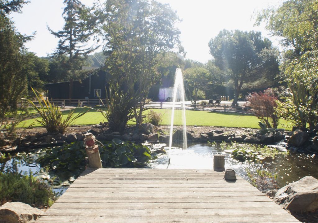 Photo of Outdoor in Healdsburg