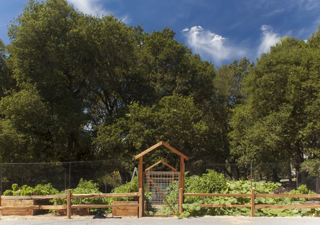 Photo of Outdoor in Healdsburg