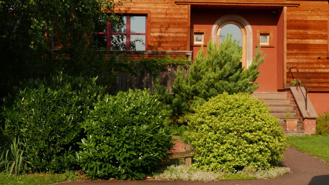 Photo of Outdoor in Orschwihr