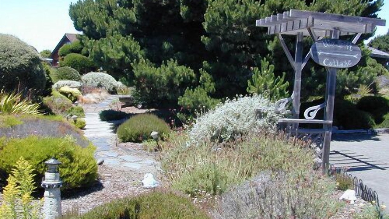 Photo of Outdoor in Fort Bragg