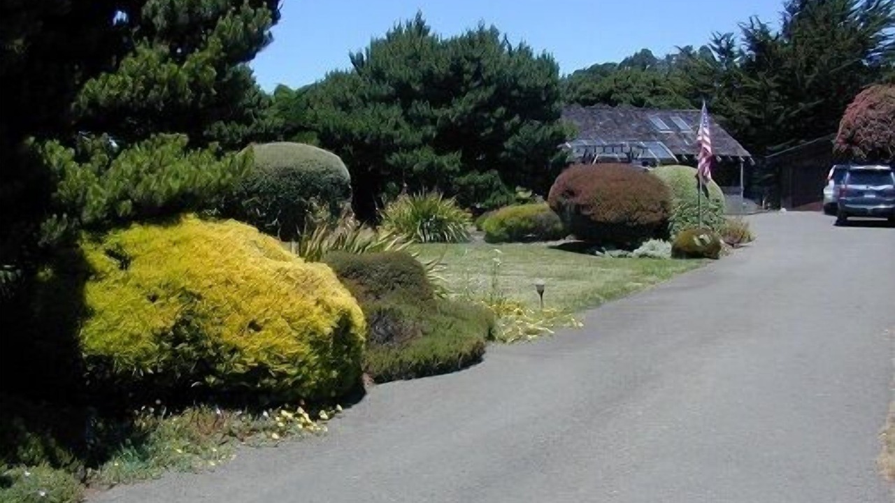 Photo of Outdoor in Fort Bragg