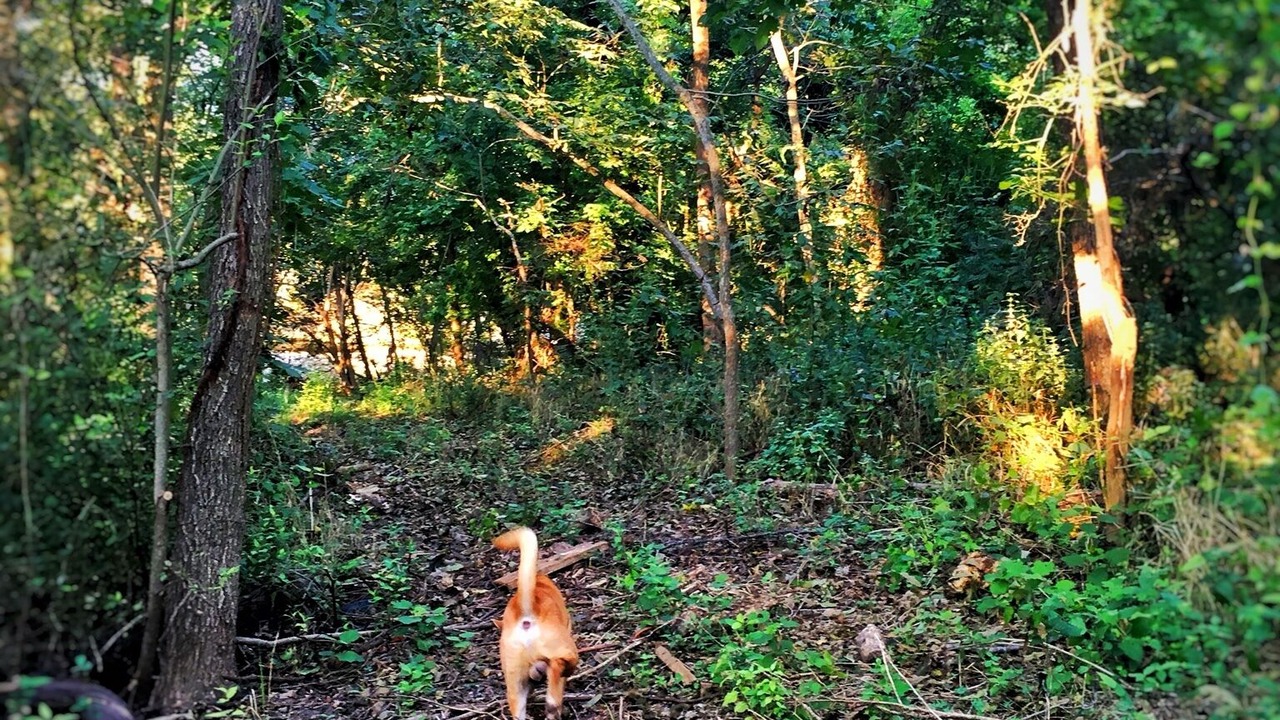 Photo of Outdoor in Austin