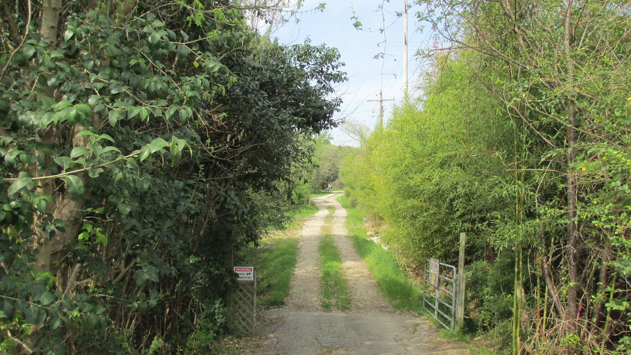 Photo of Outdoor in Austin