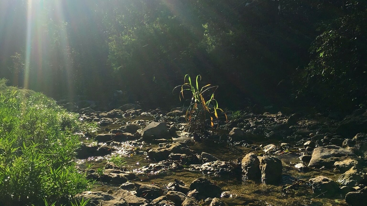 Photo of Outdoor in Austin