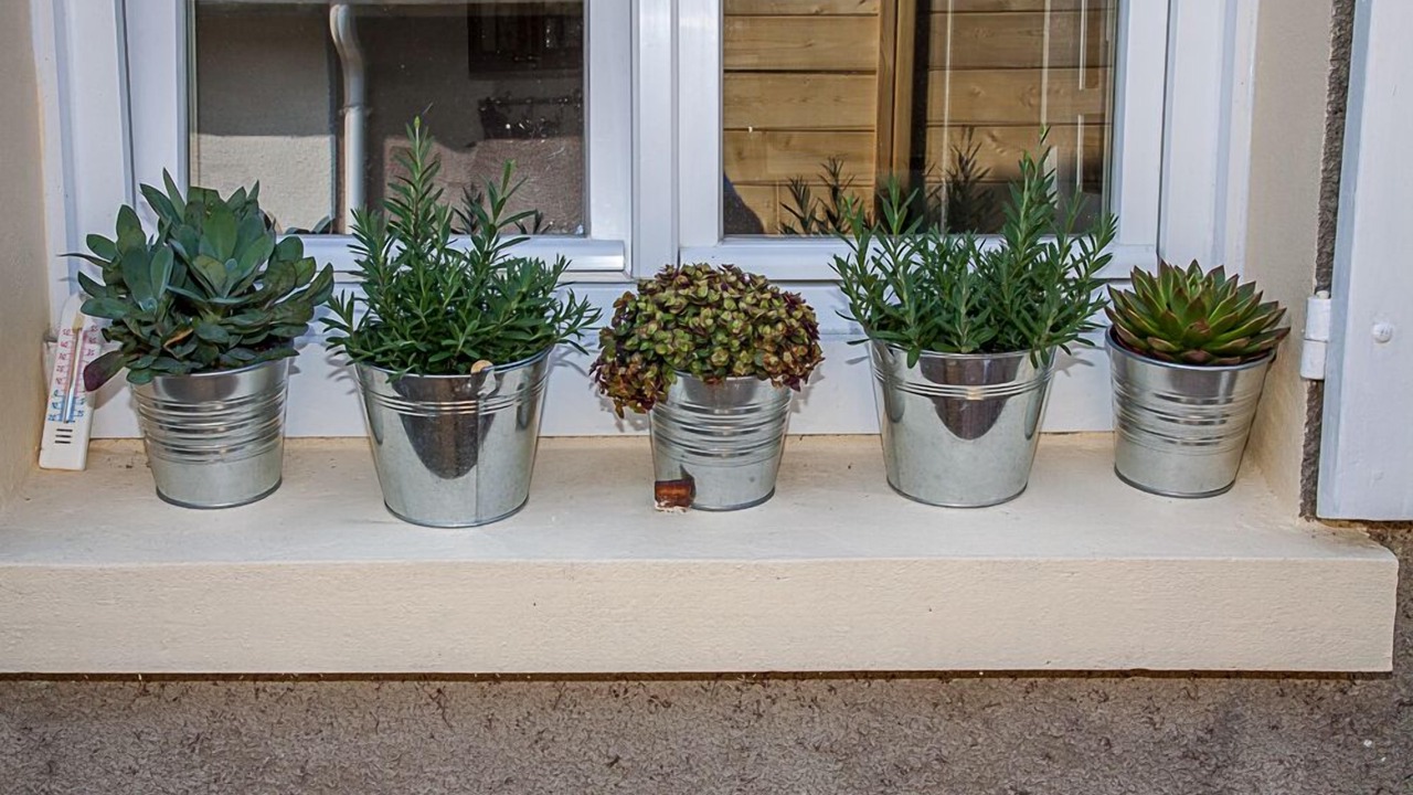 Photo of Outdoor in Lion-sur-Mer