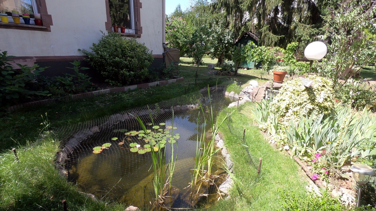 Photo of Outdoor in Saint Joseph/Mittelharth
