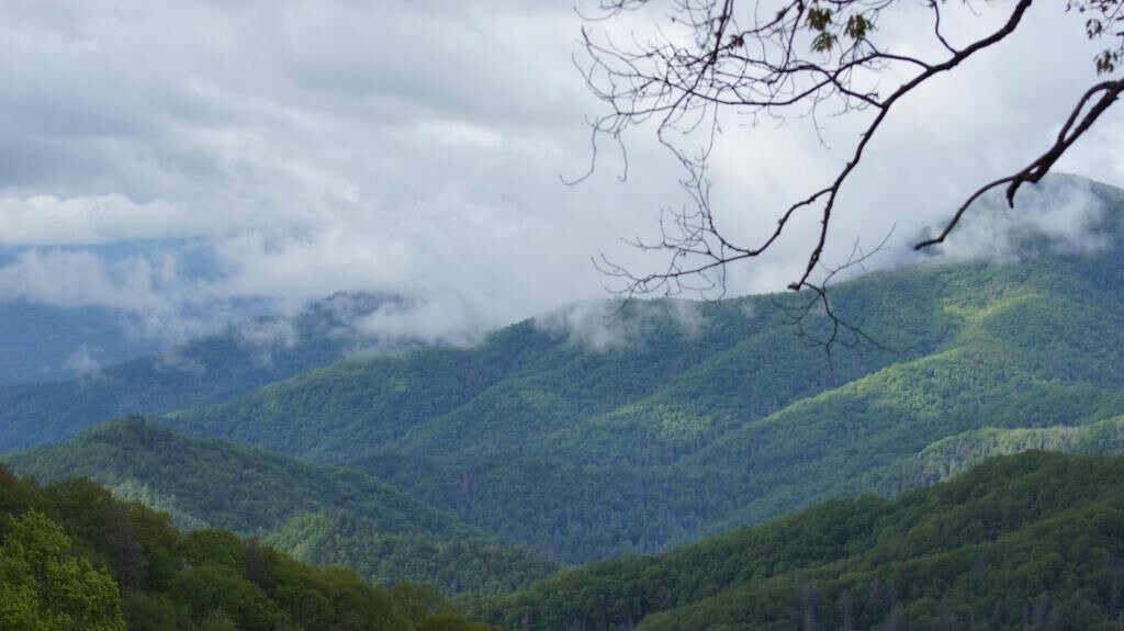 Photo of Others in Pigeon Forge