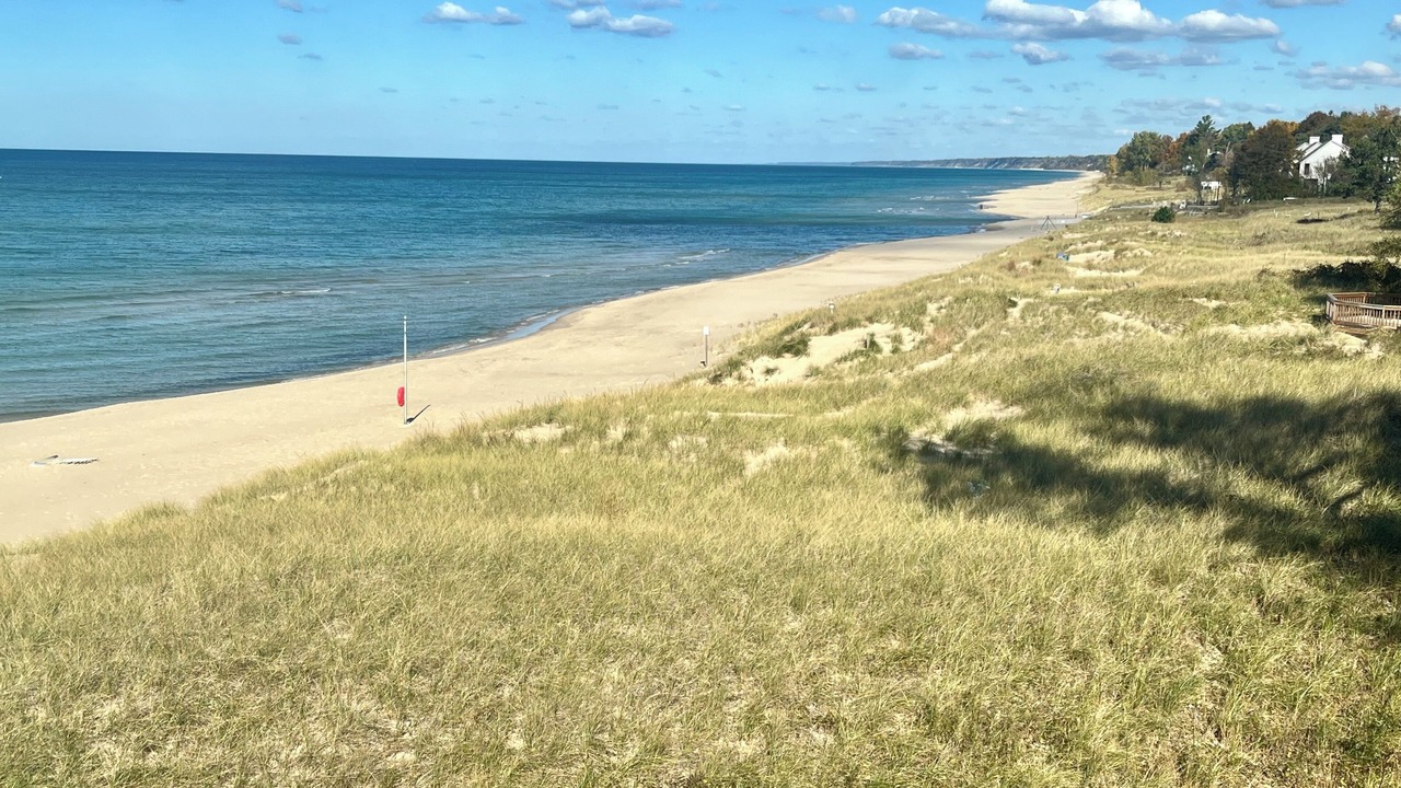 Photo of Others in South Haven