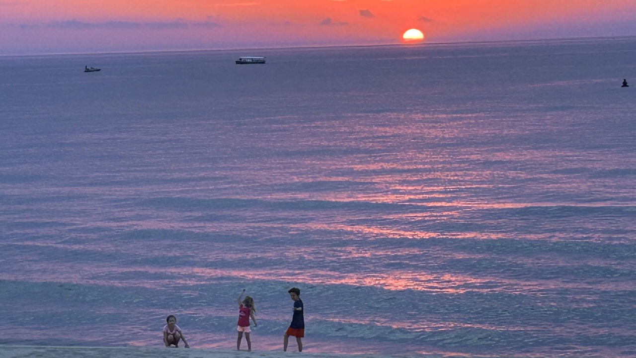 Photo of Others in South Haven