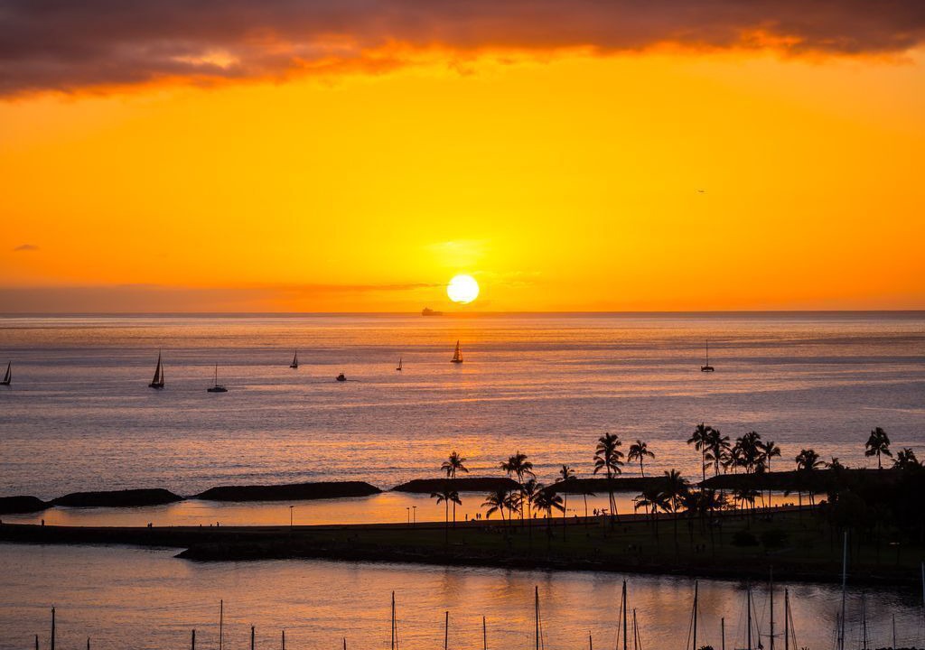 Photo of Others in Waikiki