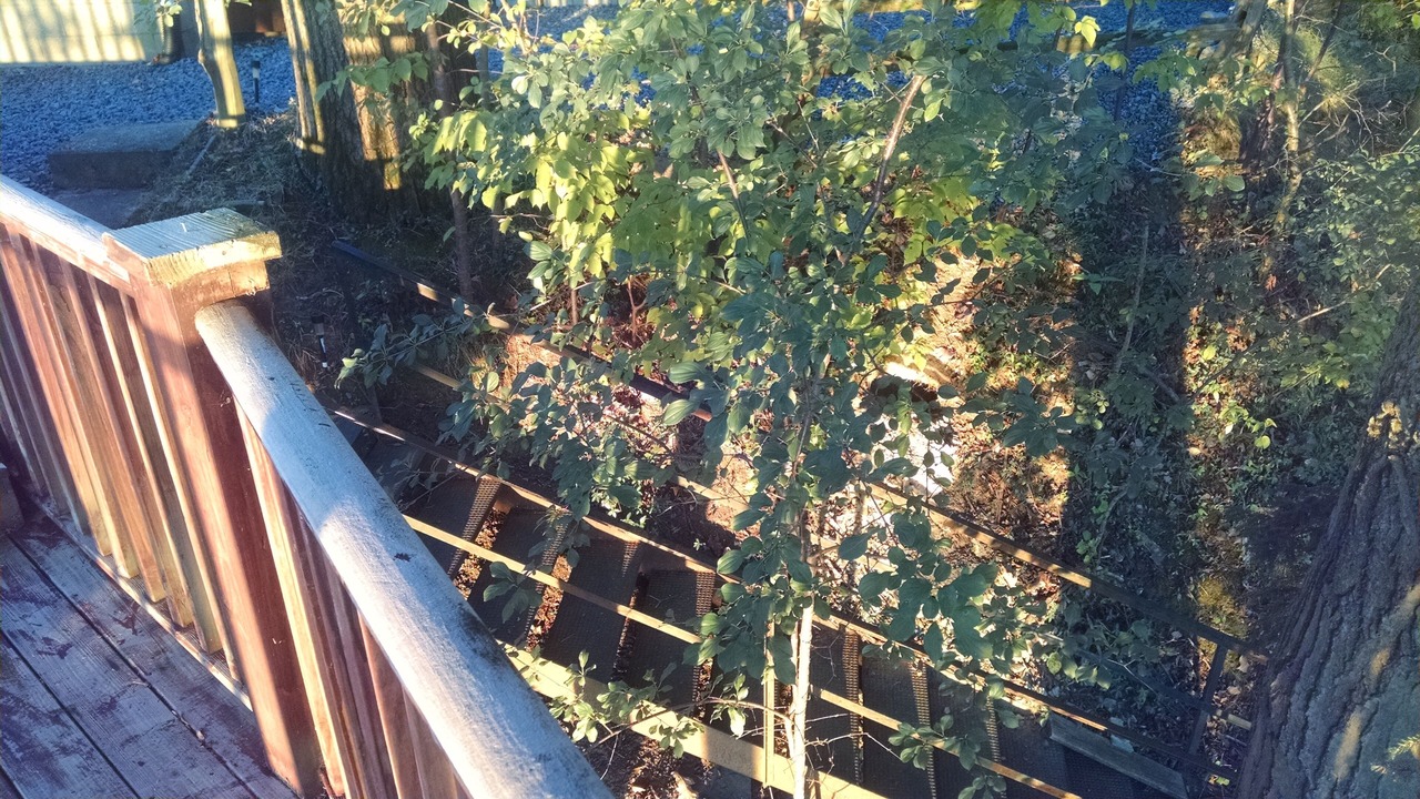 Photo of Outdoor in Town of Torrey