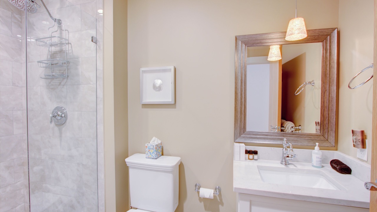 Photo of Bathroom in Charleston Historic District