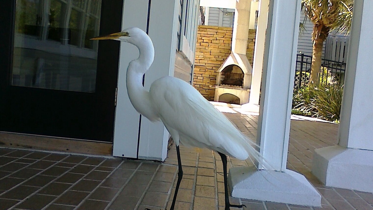 Photo of Others in Crystal Beach