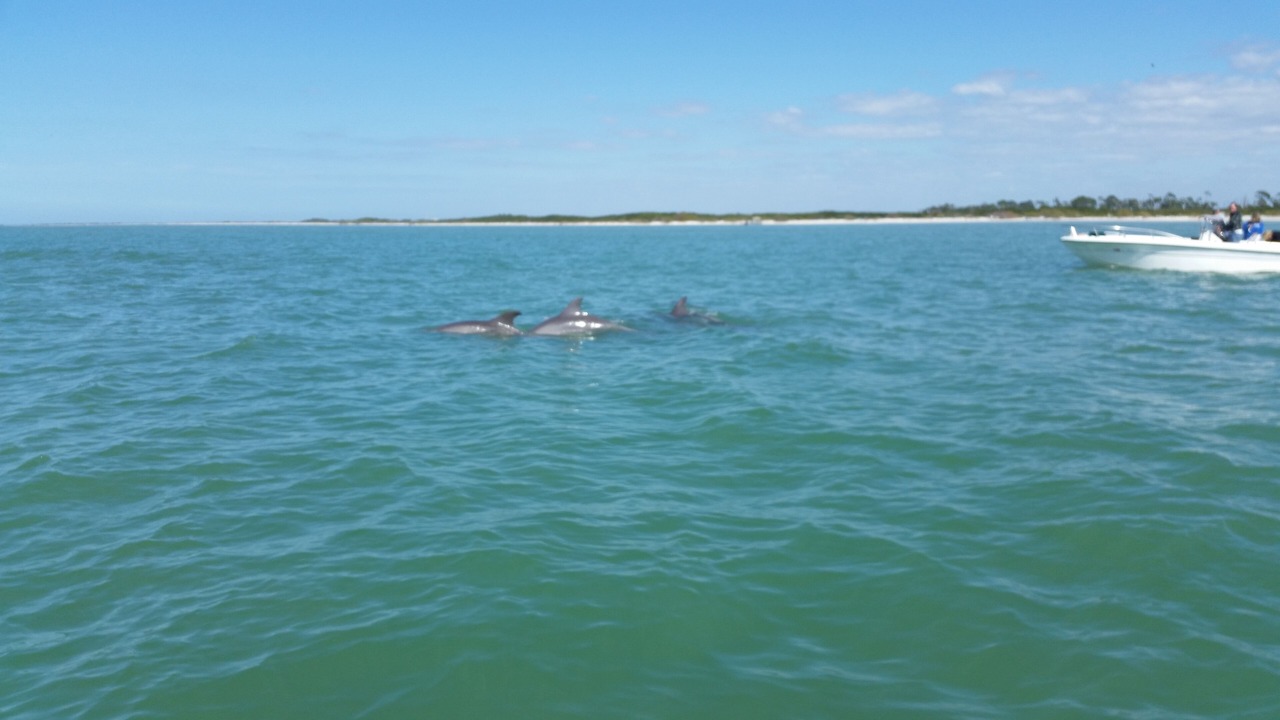 Photo of Outdoor in Crystal Beach