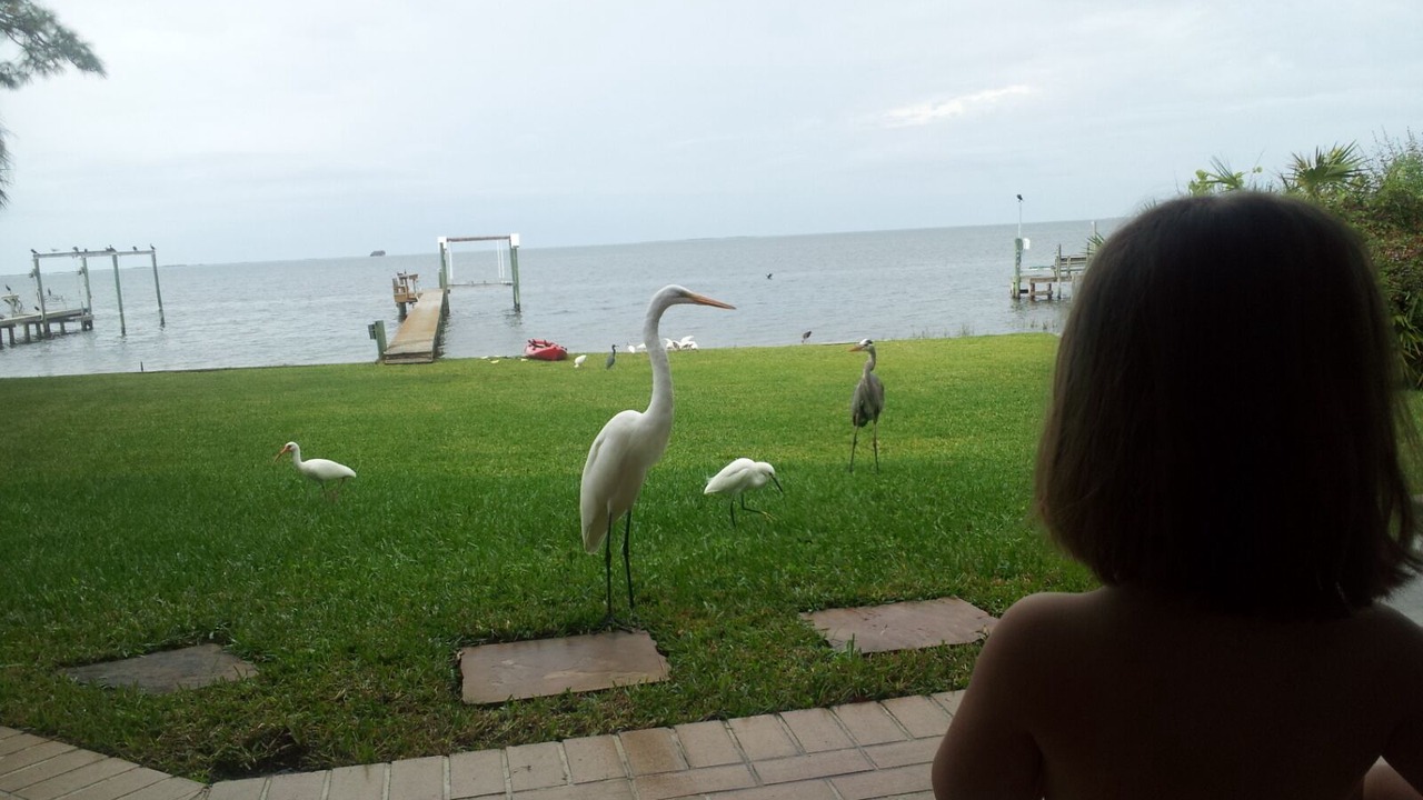 Photo of Others in Crystal Beach