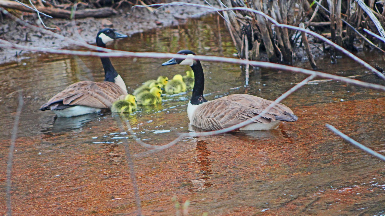 Photo of Outdoor in Woodland Park