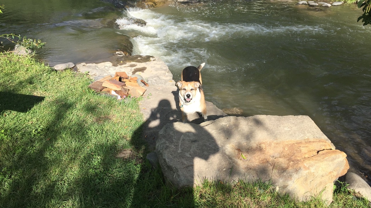 Photo of Others in Pagosa Springs