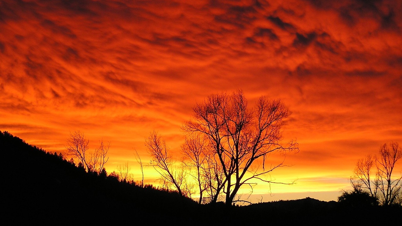 Photo of Others in Pagosa Springs
