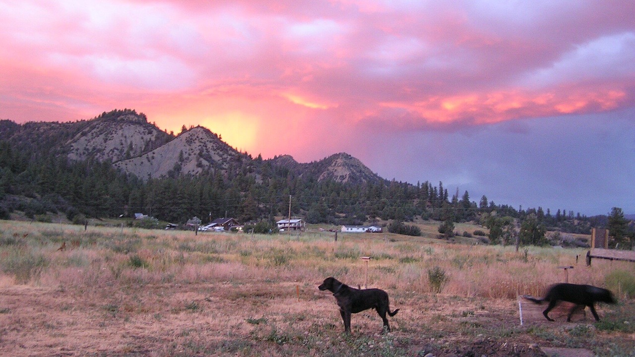 Photo of Others in Pagosa Springs