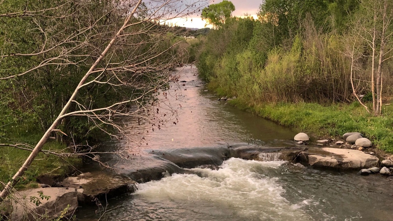 Photo of Others in Pagosa Springs