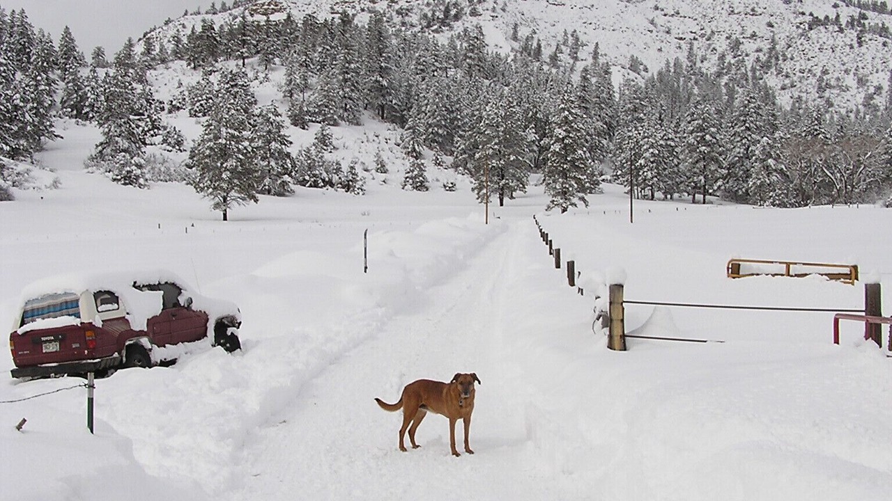 Photo of Others in Pagosa Springs