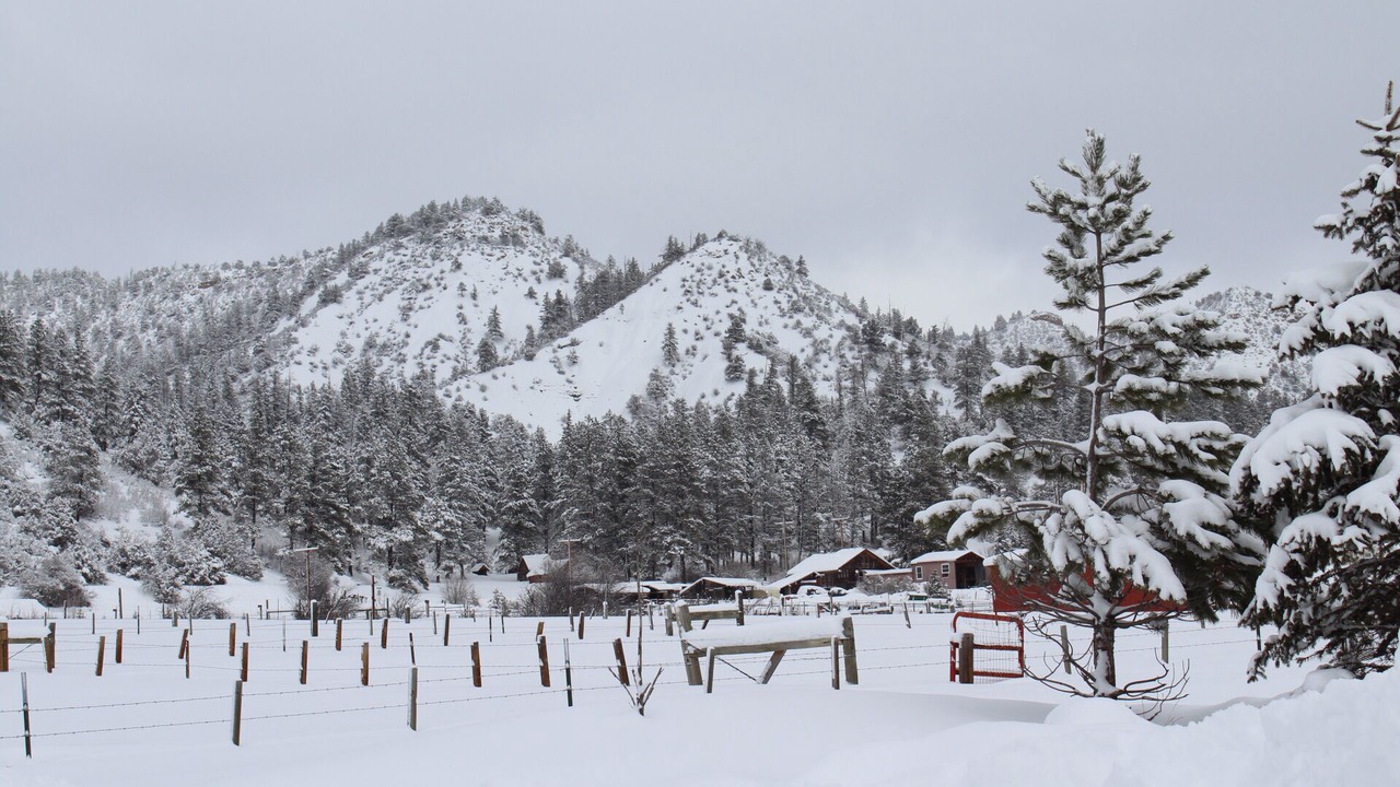 Photo of Others in Pagosa Springs