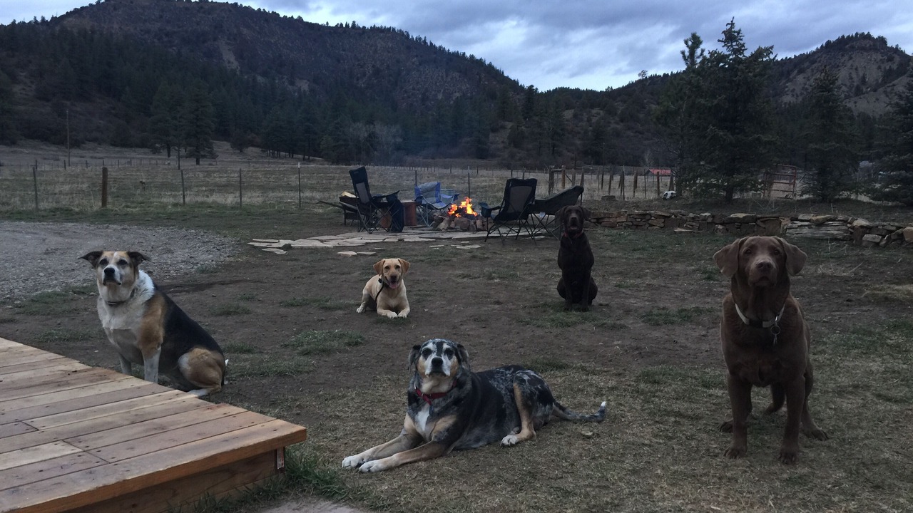 Photo of Others in Pagosa Springs