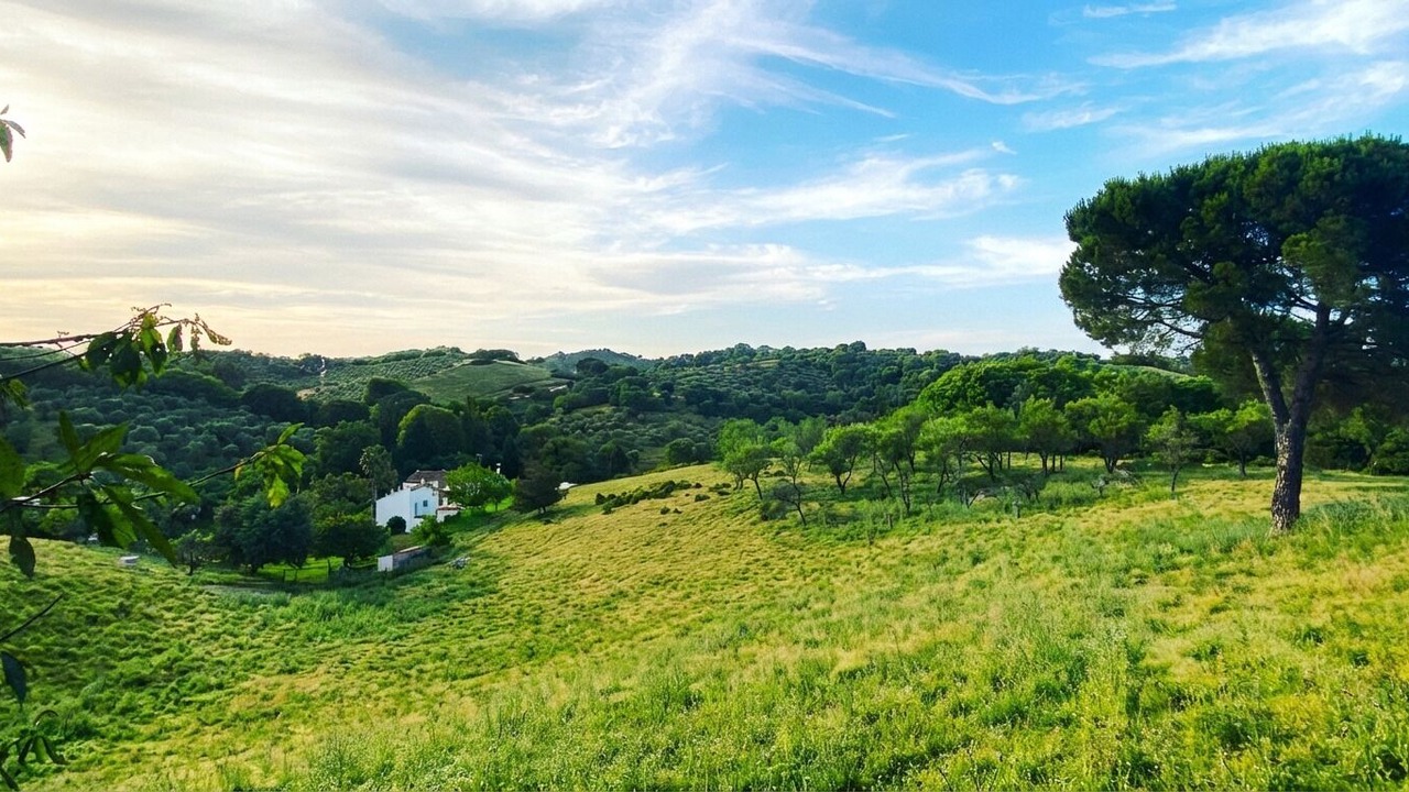 Photo of Others in Constantina