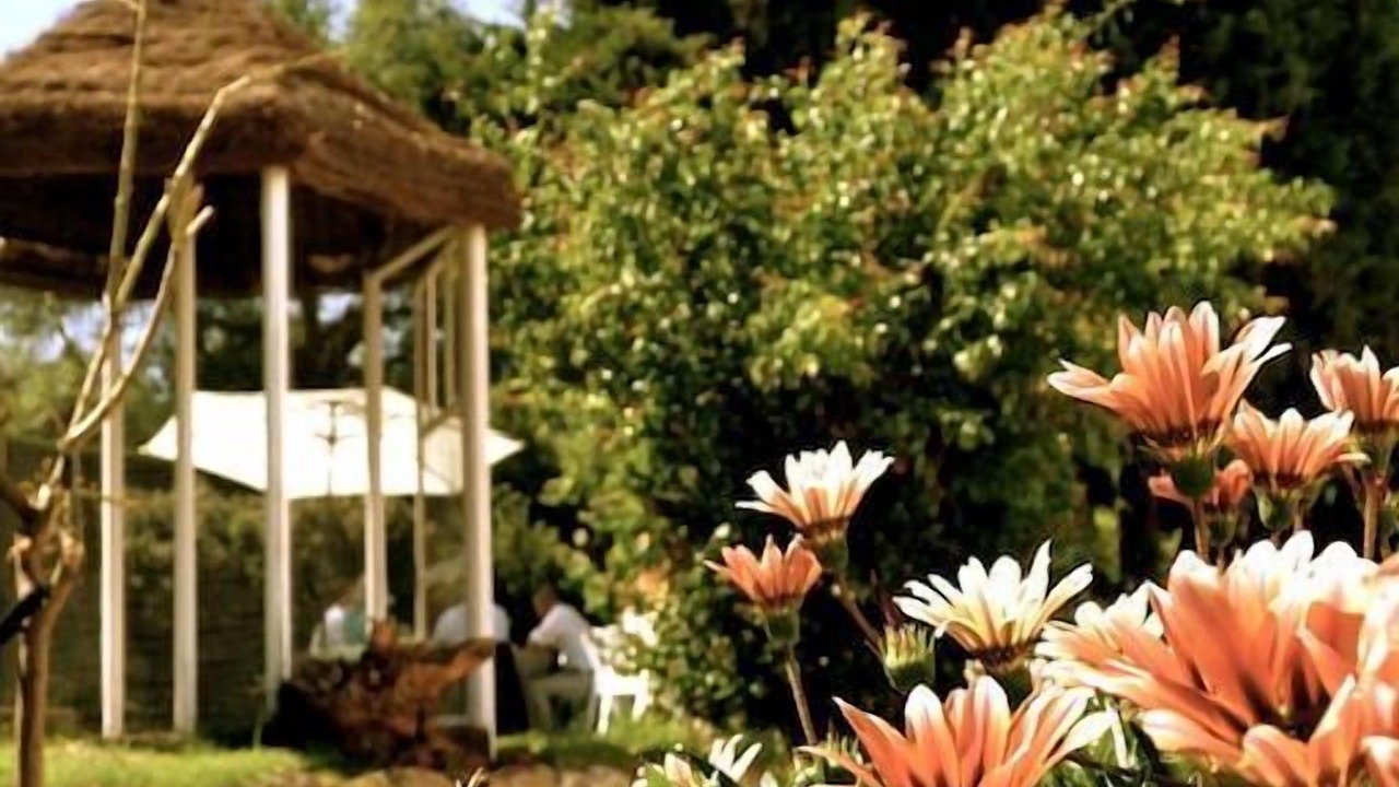 Photo of Outdoor in Constantina