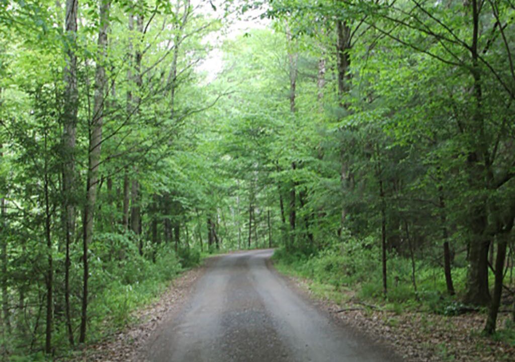 Photo of Others in Bodines