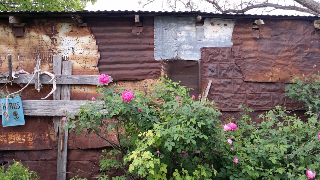 Photo of Outdoor in Marathon