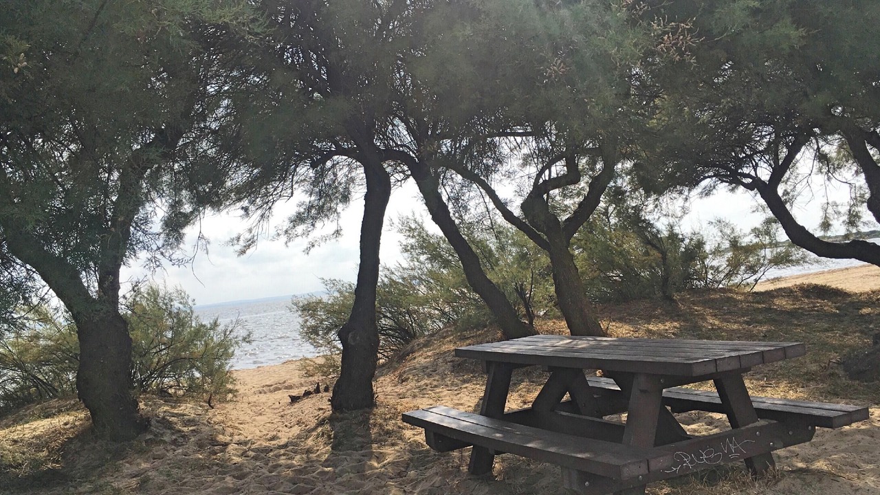 Photo of Outdoor in Audenge