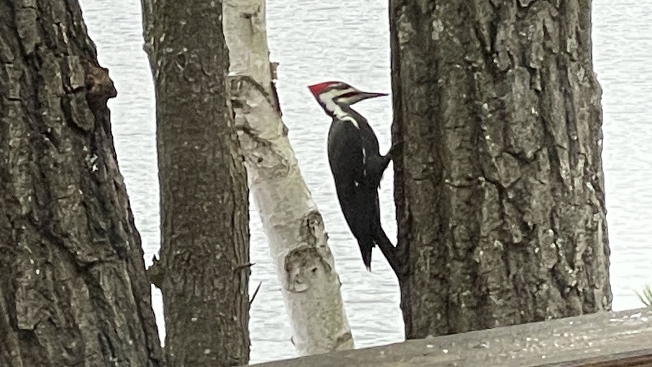 Photo of Others in Indian River