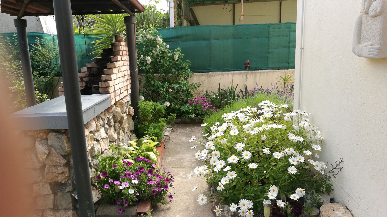Photo of Outdoor in Saint-Cyprien Plage