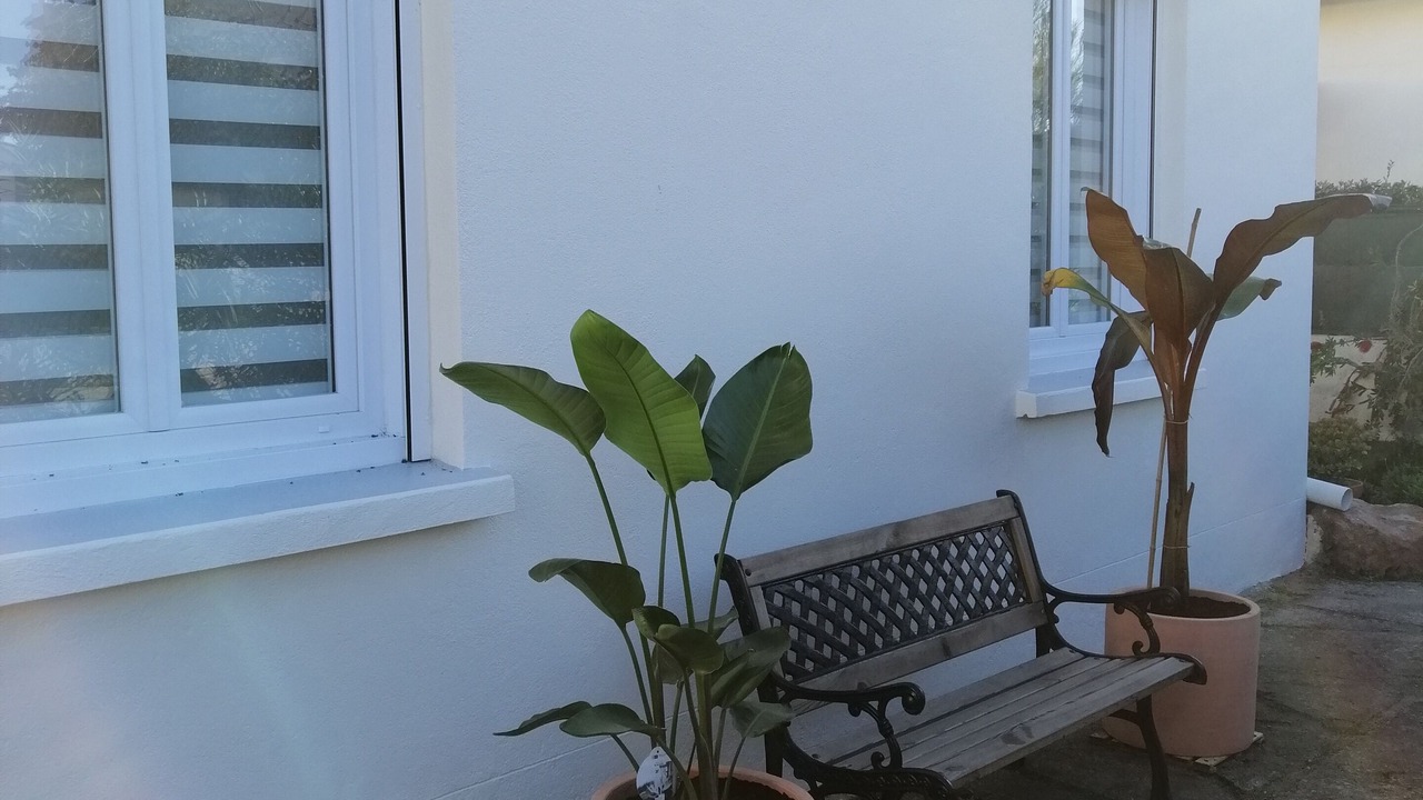 Photo of Patio Balcony in Saint-Cyprien Plage