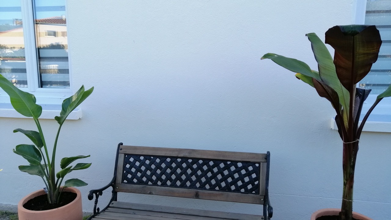 Photo of Outdoor in Saint-Cyprien Plage