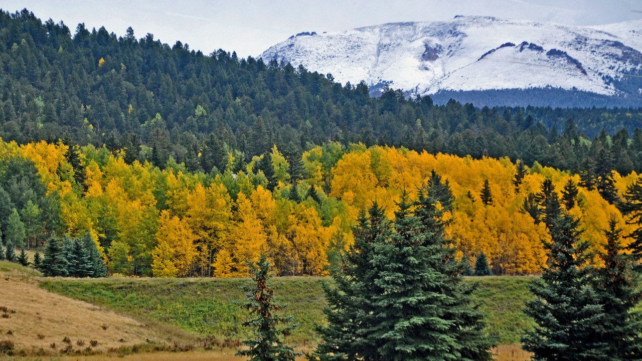 Photo of Others in Woodland Park