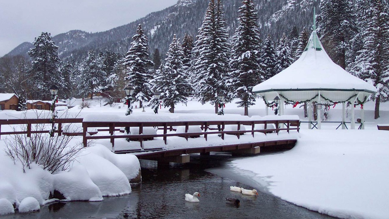 Photo of Others in Woodland Park