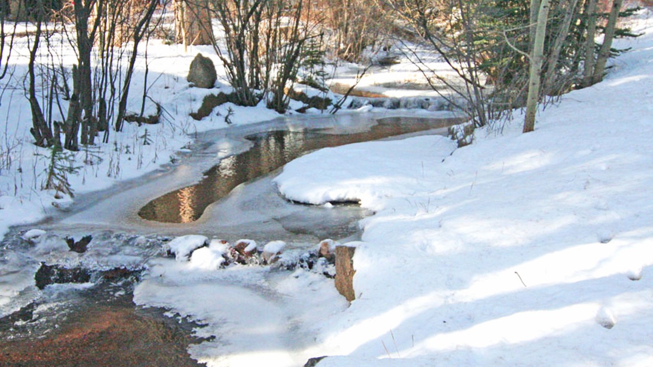 Photo of Others in Woodland Park