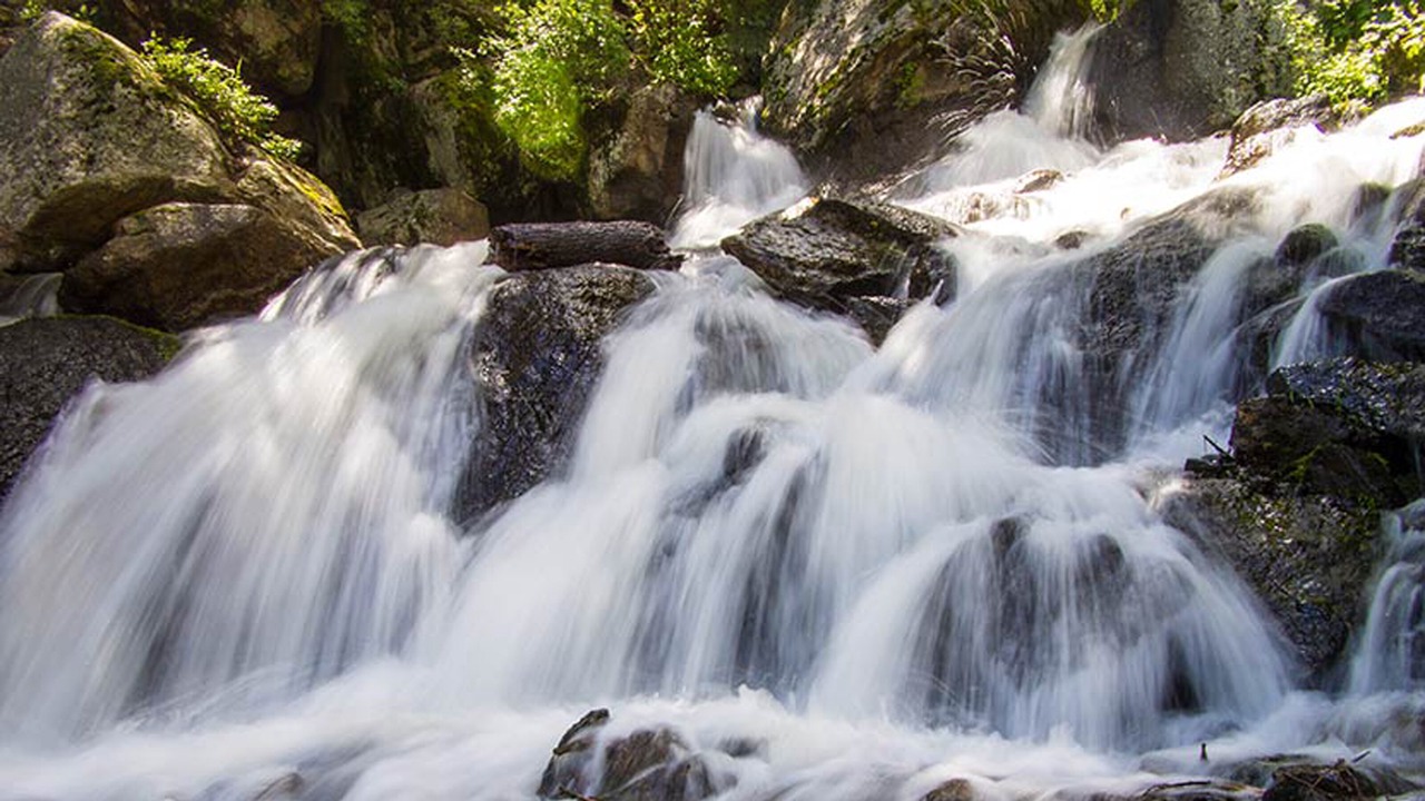 Photo of Others in Woodland Park