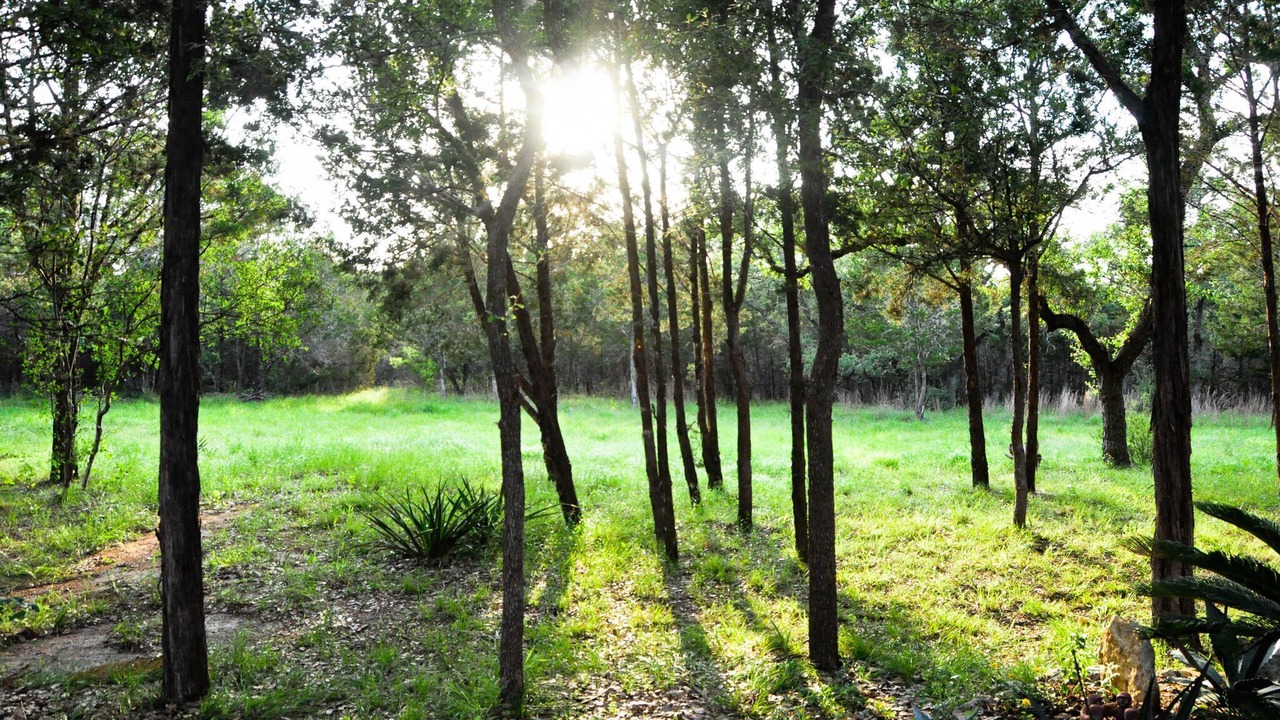 Photo of Outdoor in Long Branch Valley