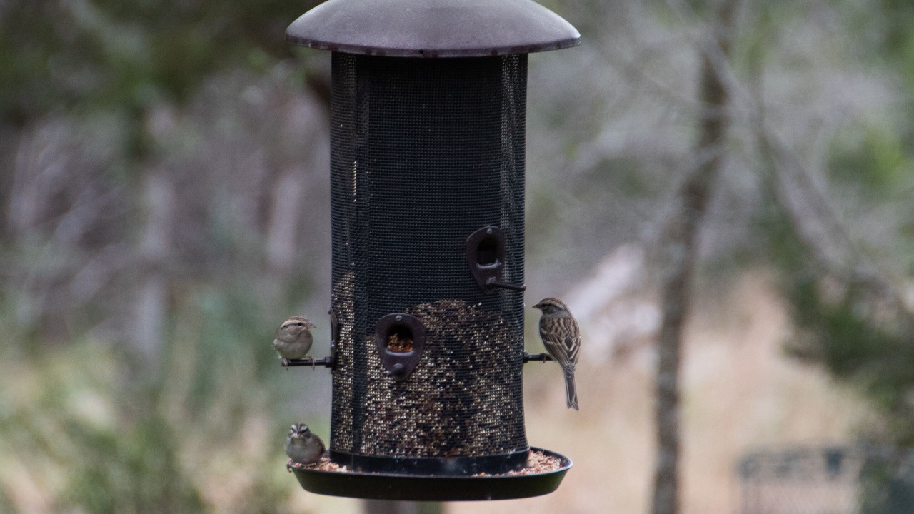 Photo of Outdoor in Long Branch Valley