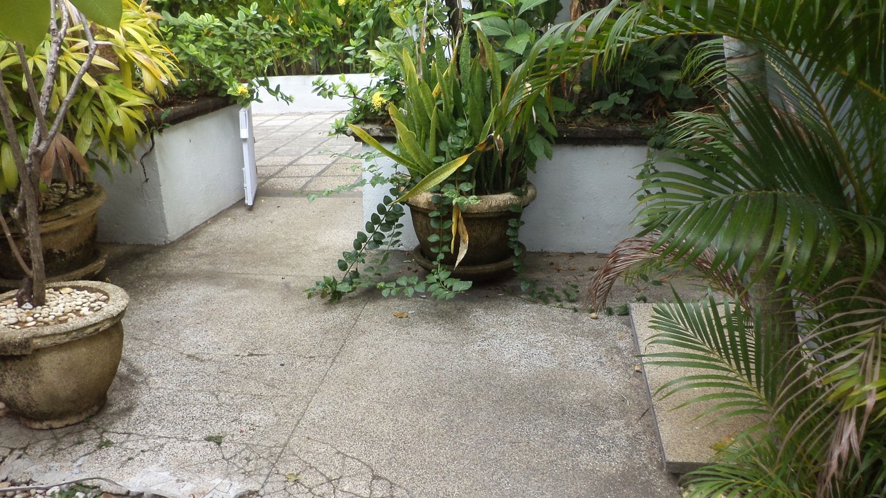 Photo of Patio Balcony in Pemecutan Kelod