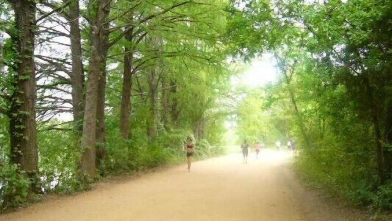 Photo of Outdoor in Zilker