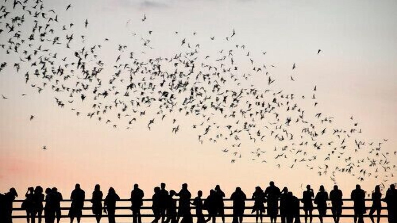 Photo of Outdoor in Zilker
