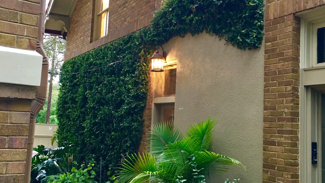 Photo of Outdoor in Monte Vista