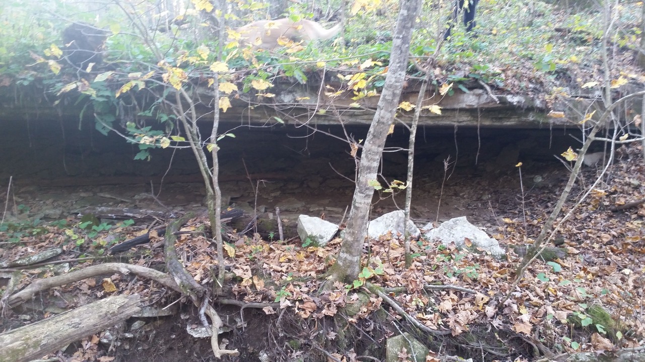 Photo of Others in Keene