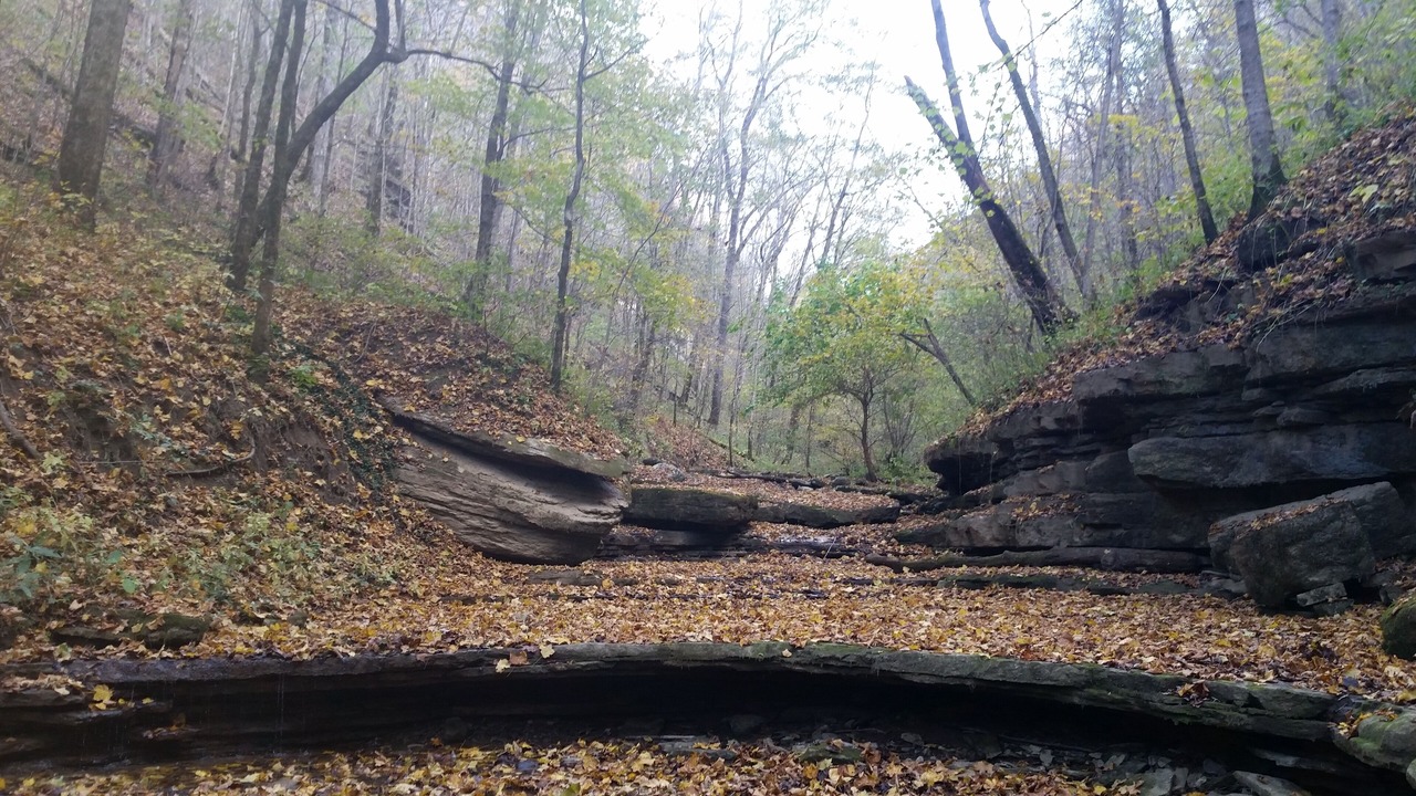 Photo of Outdoor in Keene