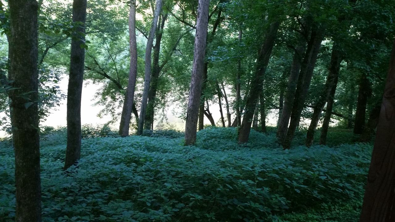 Photo of Others in Keene